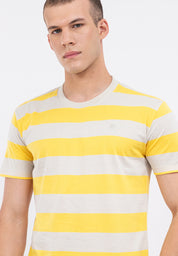 A87 Regular Fit Striped Tee