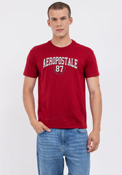 Aeropostale 87 Regular Fit Tee