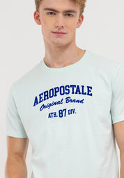 Aeropostale Original Brand Flocking Tee