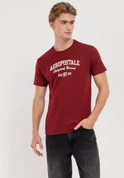 Aeropostale Original Brand Flocking Tee