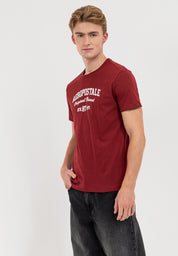 Aeropostale Original Brand Flocking Tee