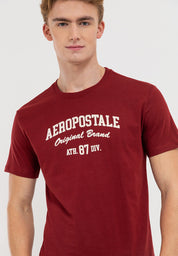 Aeropostale Original Brand Flocking Tee
