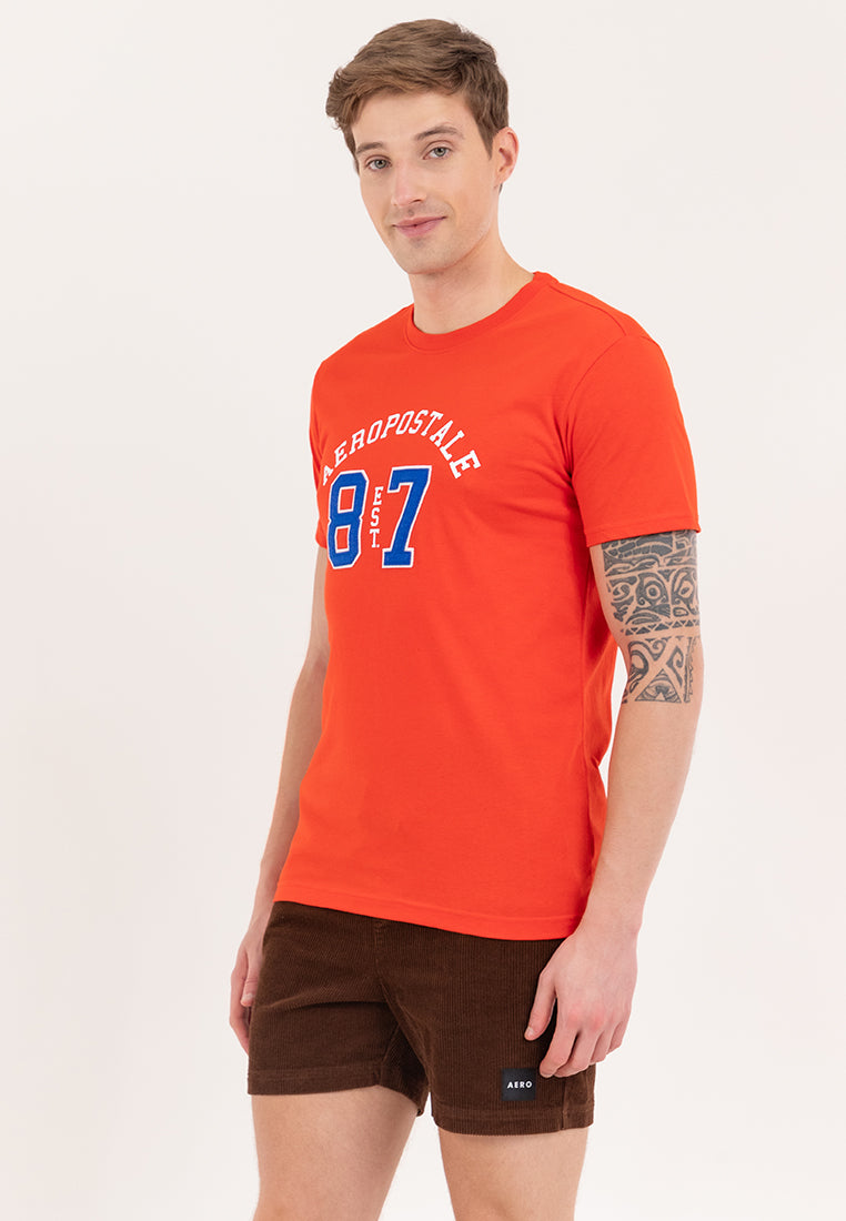 AEROPOSTALE EST 87 APPLIQUE Guys Tee