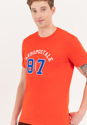 AEROPOSTALE EST 87 APPLIQUE Guys Tee