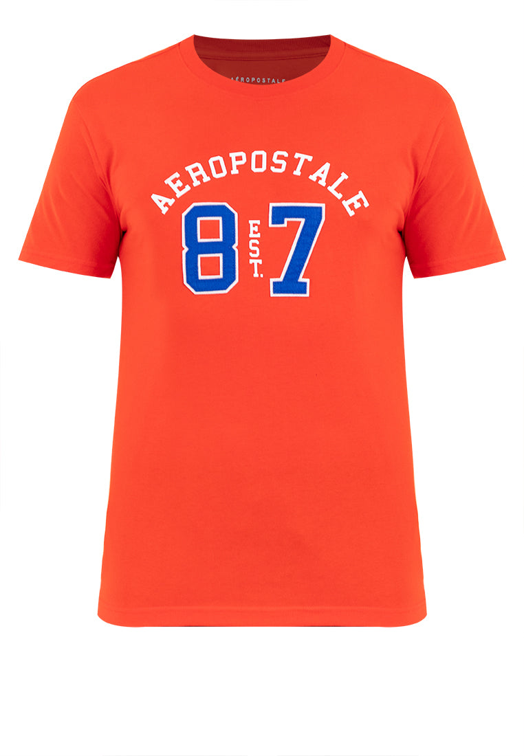 AEROPOSTALE EST 87 APPLIQUE Guys Tee