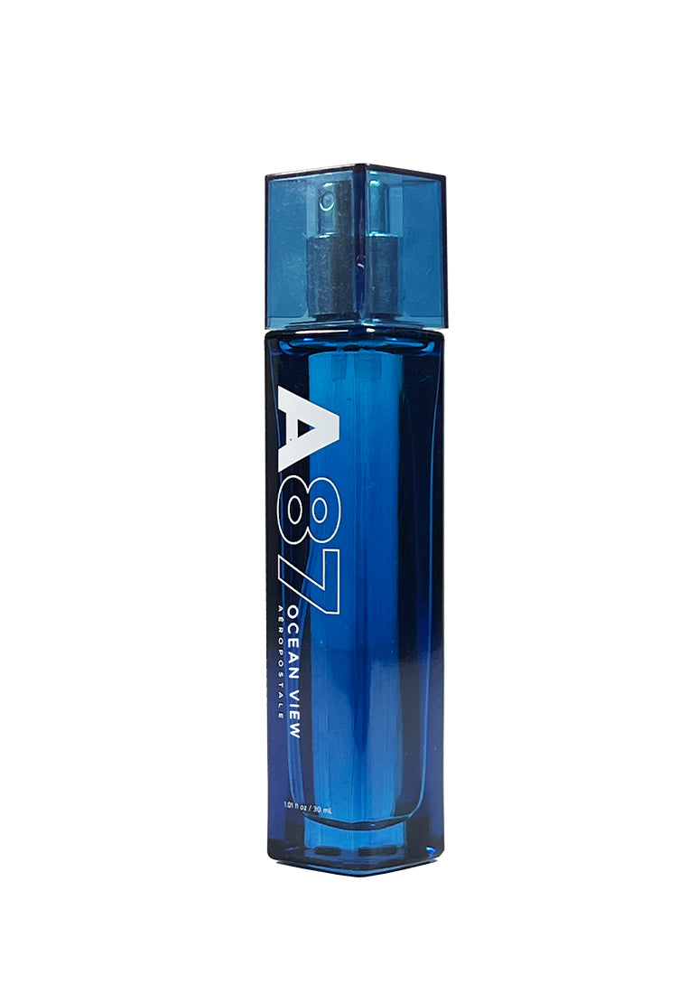 Ocean View Fragrance for Guys