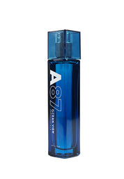 Ocean View Fragrance for Guys